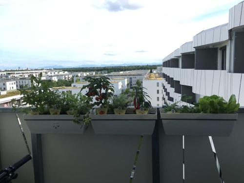 Apartment mit Bergblick in München, Deutschland