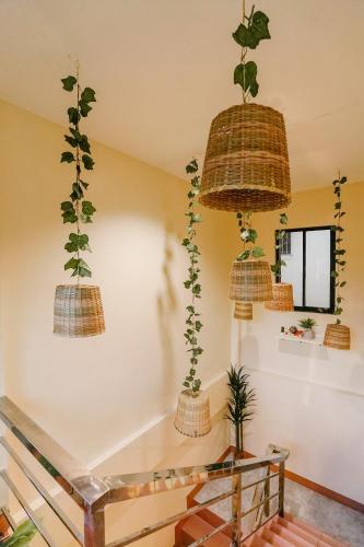 Faciliteiten, Pallet Homes - Petalsville near Central Philippine University