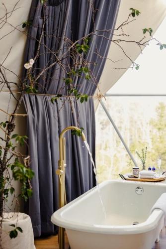 Forest Shore Dome in Shelburne (NS)