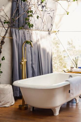 Forest Shore Dome in Shelburne (NS)