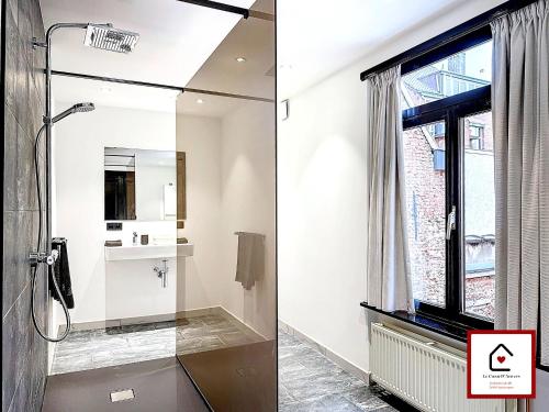 Le Cœur D'Anvers - Architectural Townhouse, Amberes (foto 7)
