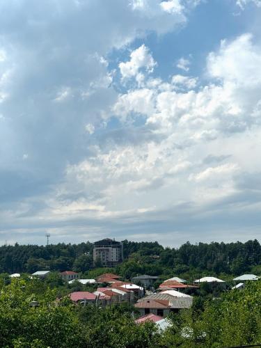 Davitiani, Telavi (photo 6)