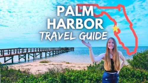 Perfect Condo Sleeps 8, Florida in Palm Harbor, USA