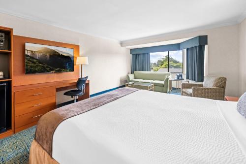 1 King Bed, NonSmoking, Pet Friendly Room