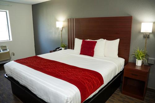King Room - Non-Smoking
