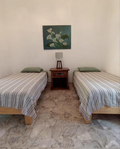 Casa Rosa Amelia in Guadalajara, Mexico