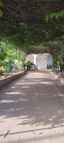 La Via Del Mare