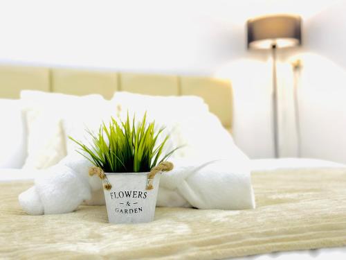 New Entire House Private RoofTop 11pp Near DMK airport-BTS in BKK New Entire House Private RoofTop 11pp Near DMK airport-BTS in BKK