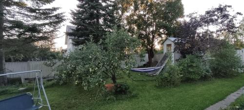 Nummen Vintti, Vanhan Rauman kupeessa in Rauma City Center