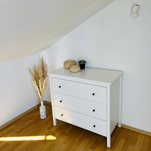 Modernes Cityapartment nähe Schloss Pillnitz, Drážďany (fotografie 7)