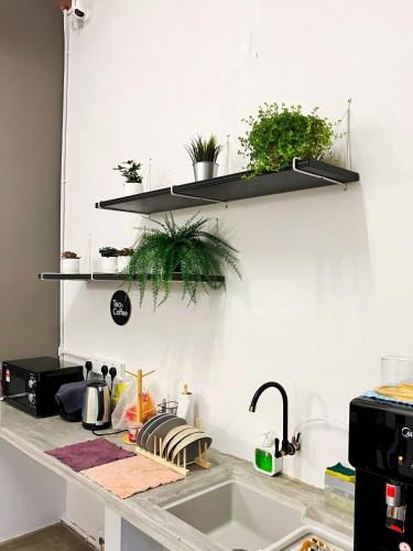 Instalaciones, Pine Armenian in Penang