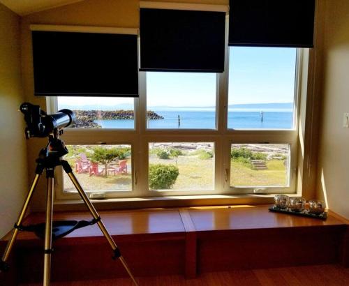 The Seaside Getaway - Direct Beach Access in Point Roberts