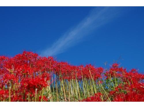 Ryoso Chatani - Vacation STAY 43122v in Ohara