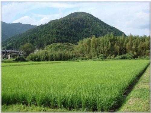 Ryoso Chatani - Vacation STAY 43122v in Ohara