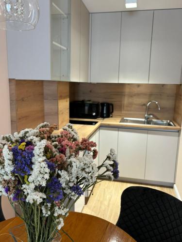 Wine Apartment Brkic in Citluk