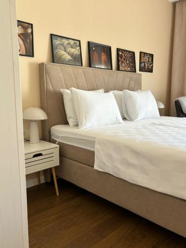 Wine Apartment Brkic in Citluk