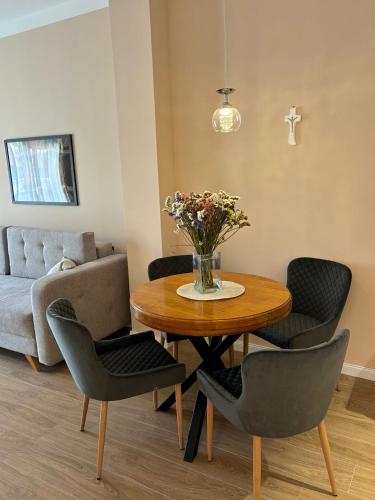 Wine Apartment Brkic in Citluk