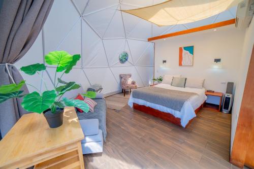 外部景觀, Tocuma Glamping in 卡塔戈