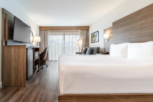 1 king bed, 1 sofa bed