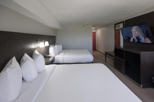 Holiday Inn Express Miami Springs an IHG Hotel - image 6