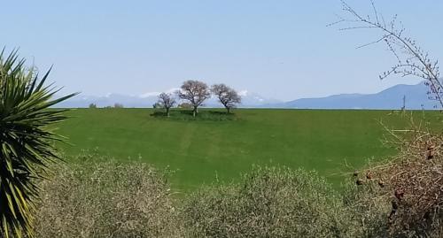 Nearby attraction, Divino B&B Relax and Wellness in Rome South
