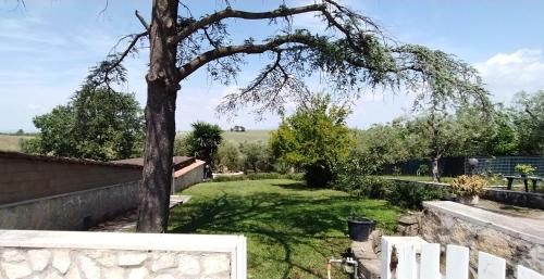 View, Divino B&B Relax and Wellness in Rome South