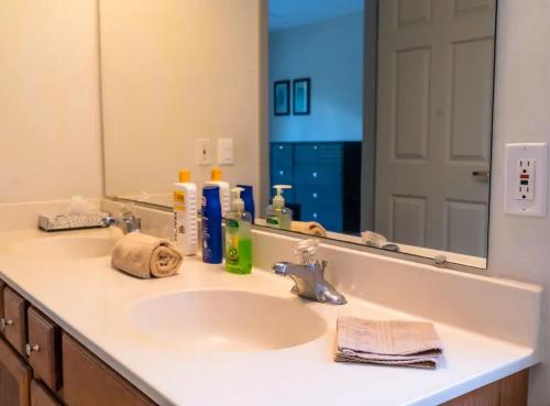 Luxury Island Life Apartment in Cozumel, Mexico