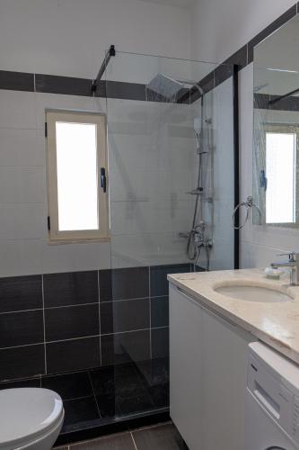 Superior Apartment image 2