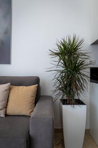 Superior Apartment image 6