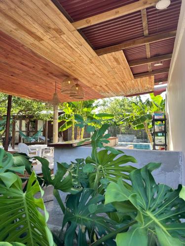 Зручності, Cabaña Privada con Piscina y Aire Acondicionado (Cabana Privada con Piscina y Aire Acondicionado) in Isla Fuerte