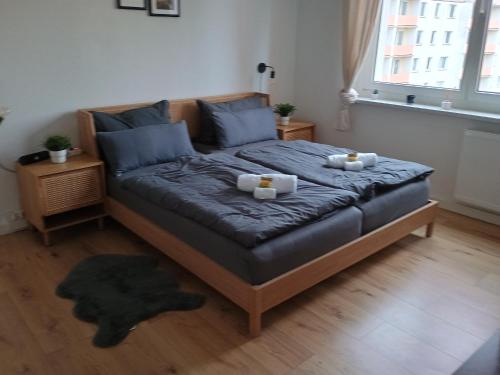 Oase Coswig Ferienwohnung in Coswig