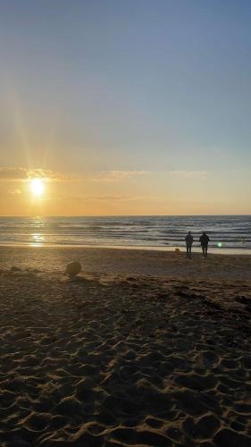 Escale Cabourgeaise Escale Cabourgeaise