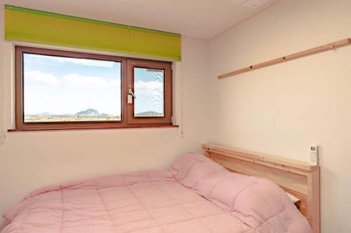 Jeju Paradise House - Фото 1