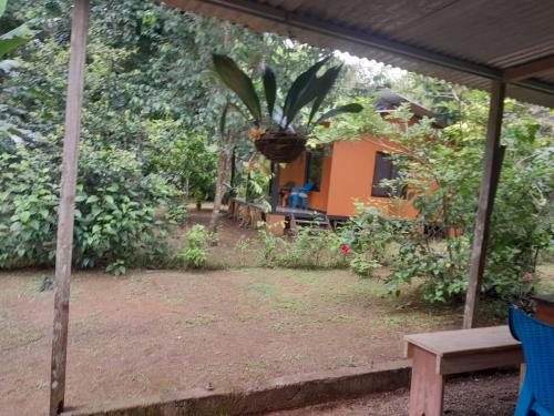 Cabinas Corcovado Green Parrot, Los Planes Drake in Los Planes
