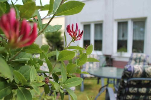 Előcsarnok, M9 Ferienwohnung mit Balkon am Waldrand im Ostseeland in Neubukow