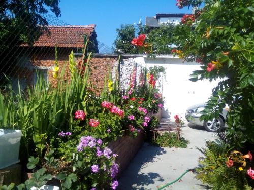 Aleks Guest House - image 12