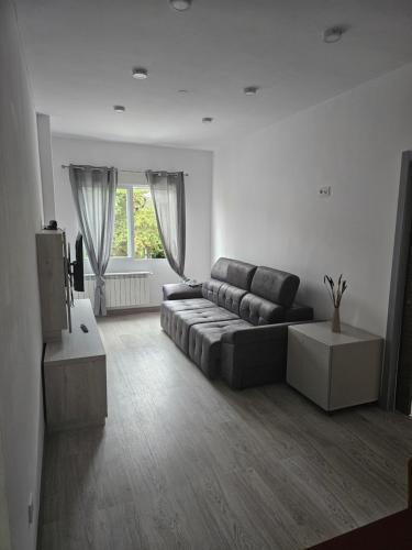 Piso Pino