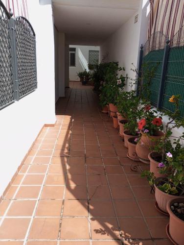 Cigüeñas Cigüeñas