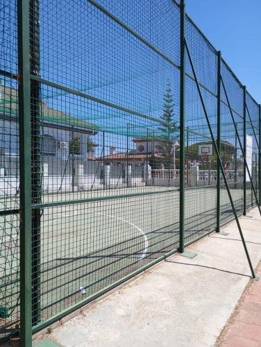 Cigüeñas Cigüeñas