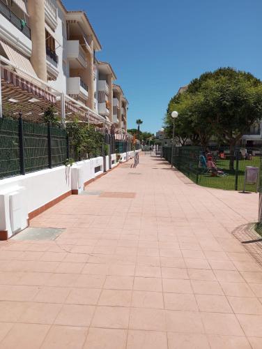 Cigüeñas Cigüeñas