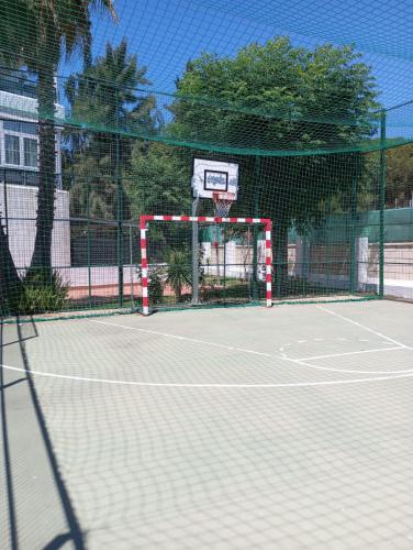 Cigüeñas Cigüeñas