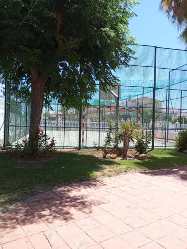 Cigüeñas Cigüeñas