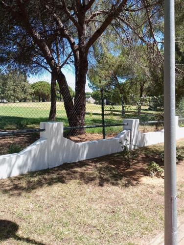 Cigüeñas Cigüeñas