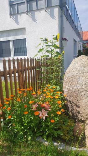 Ferienwohnungen 