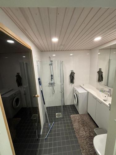 Luxury City Apartments, Valtakatu Sauna Apartment 5