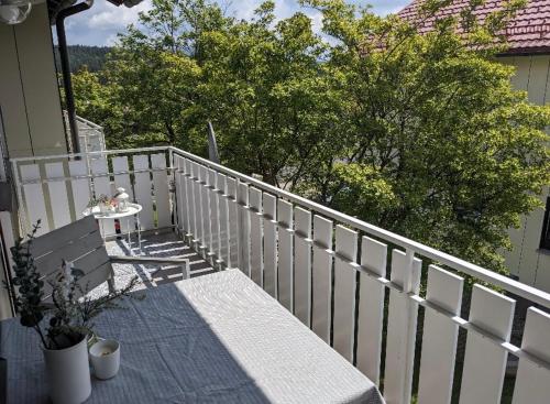 Balkons/terase, Ferienwohnung am See im Fichtelgebirge in Nagel (Bavaria)