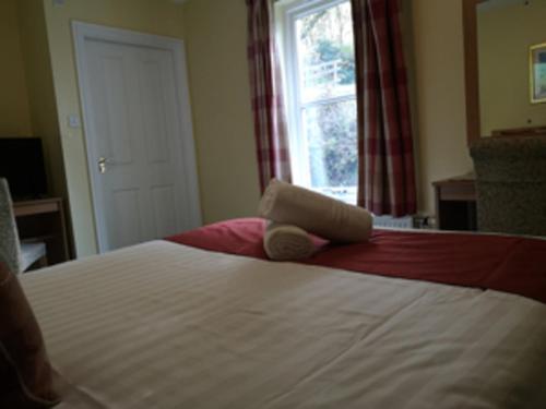 Bridge of Cally Hotel - image 4