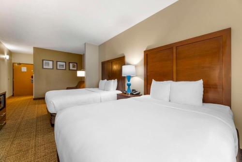 Comfort Suites Near Vancouver Mall - image 4