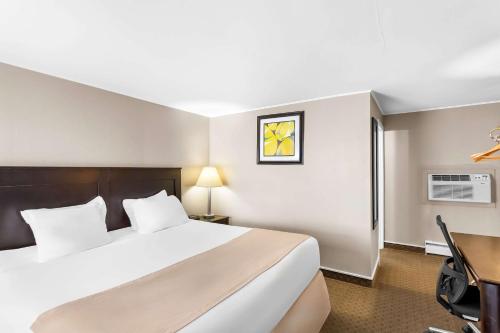 Rodeway Inn - image 11