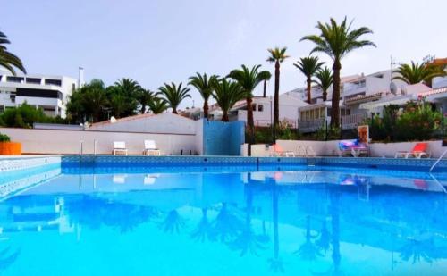 Studio Las Americas Monkey Beach 3